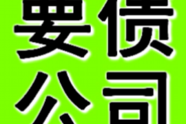 朝阳为什么选择专业追讨公司来处理您的债务纠纷？